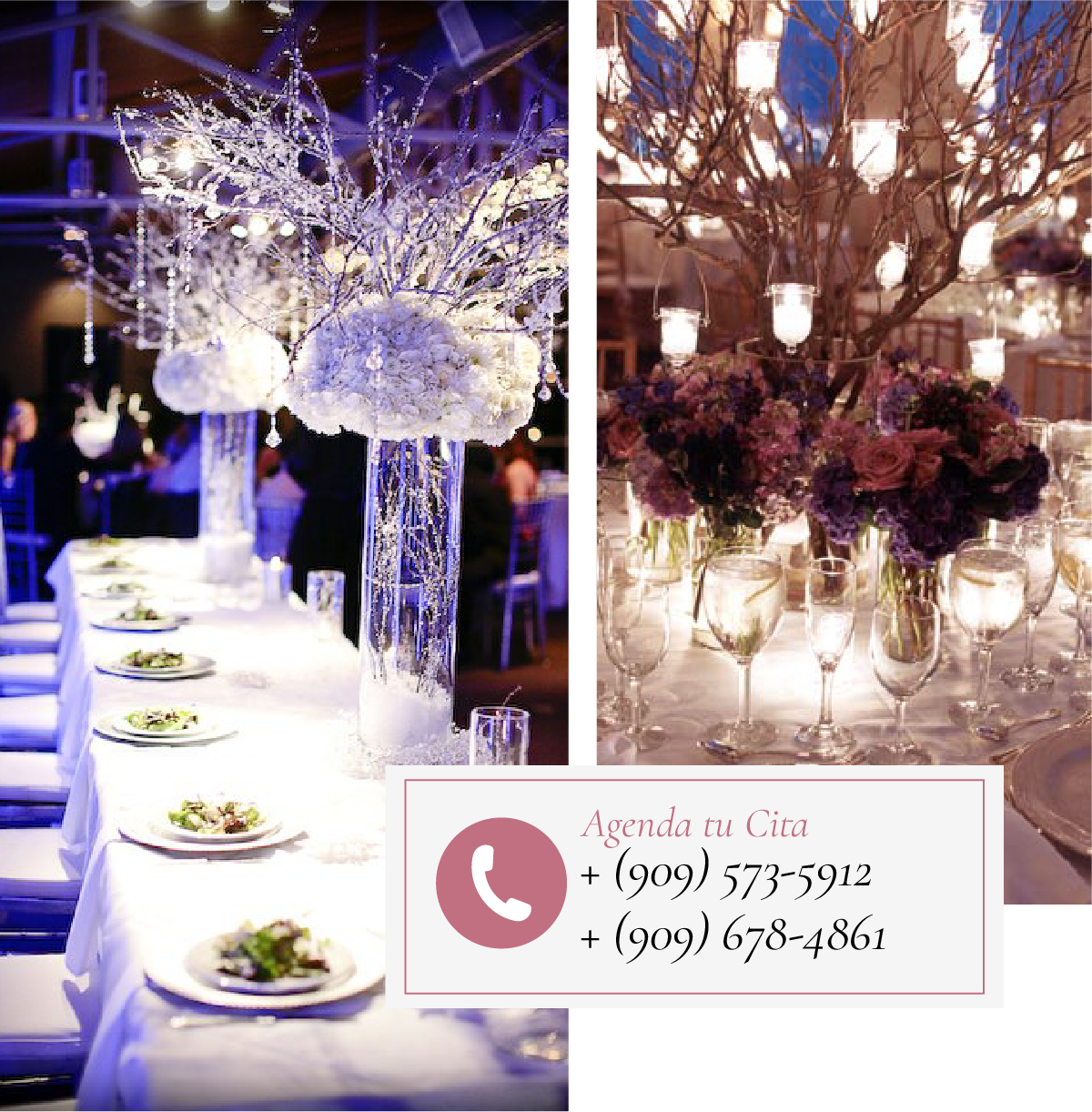 Marys Party Rentals-06